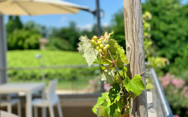 Hotel Relais Le Betulle