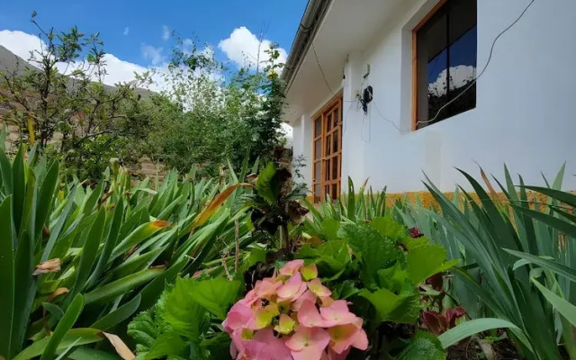 Schatzi Lodge