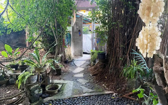 Shady Grove Healing Centre and Homestay