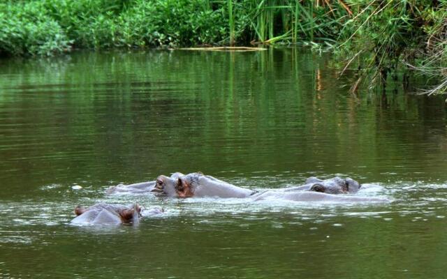 Kruger Park Retreat