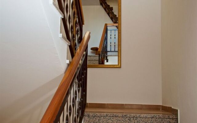 Pansion Comfort Exclusive