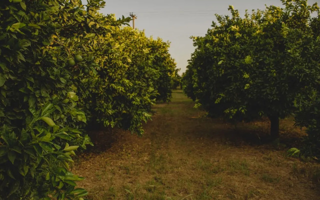 Orangia Ecohosting Farm