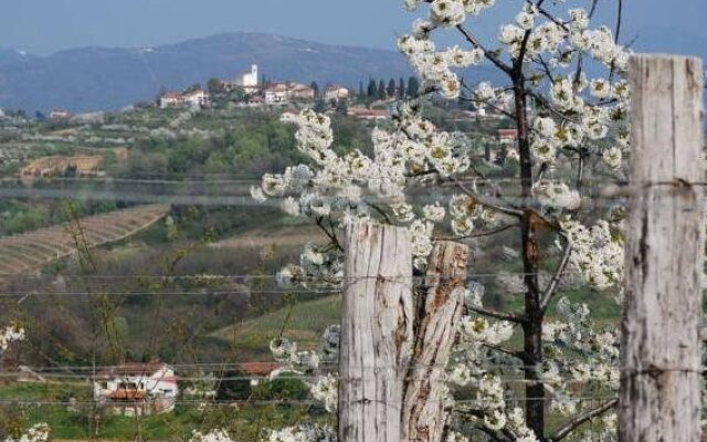 Agriturismo Domus Rustica