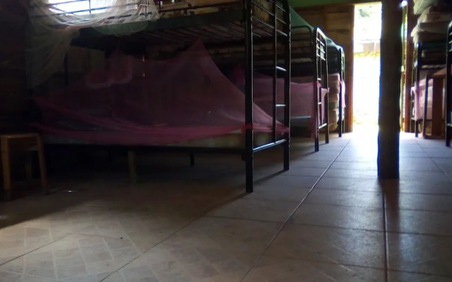 3 Rivers & Rosalie Forest Eco Lodge