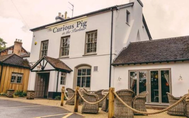 The Curious Pig in the Parlour