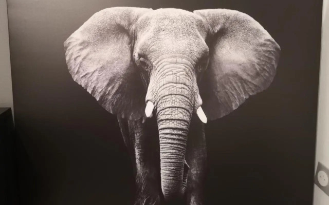 LE WILSON SUITE - Centre-ville - Gare - Tram