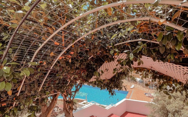 Orland, center of Las Americas LA205