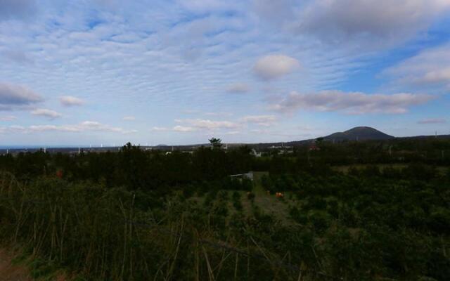 Jeju Swiss Village Pension (216)