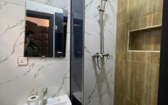 Well furnished 4 Bedroom Apartment in Lekki