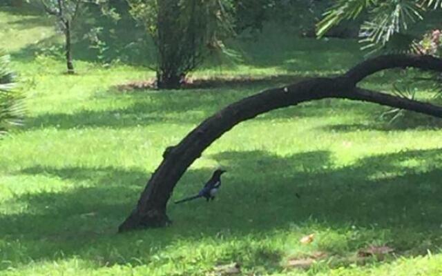 Cannes Eden résidence de luxe piscine tennis