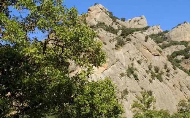 Guesthouse Eleftherios