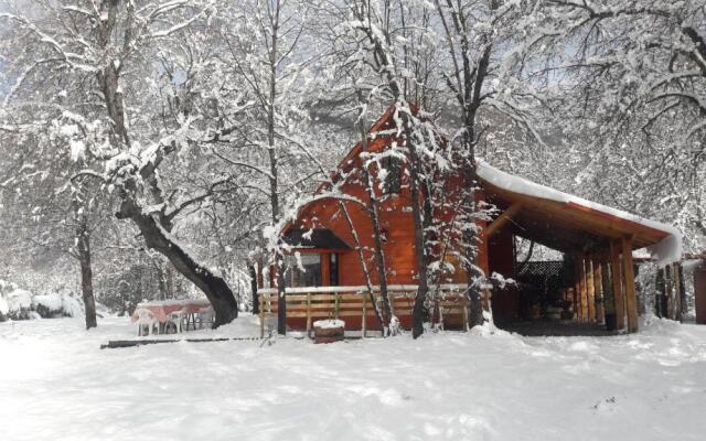 Cabañas Tronco Mayen