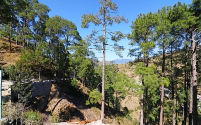 OYO 23141 Kanak Palace Barkot