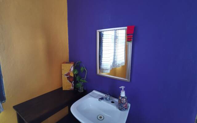 Casa Demetria Friendly