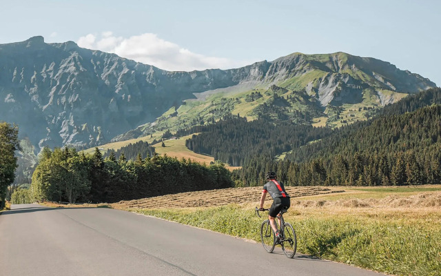 Novotel Megève Mont-Blanc