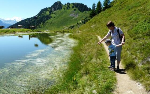 Chalet Enzian