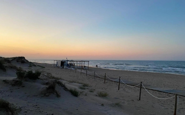 Chalet a estrenar - Playa Oliva Nova. Piscina & Padel