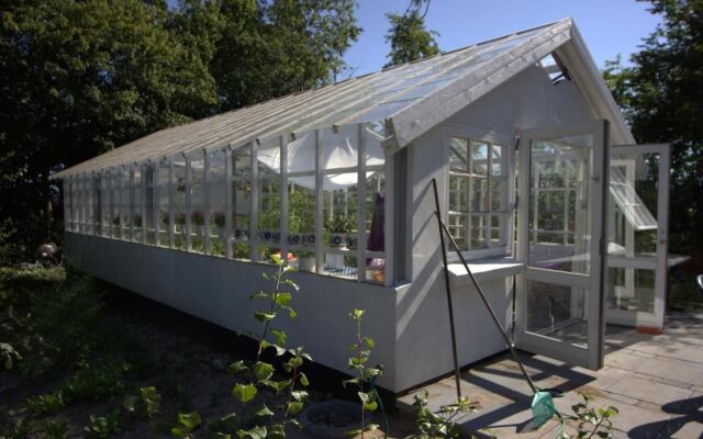 Stutteri Skandi Hest