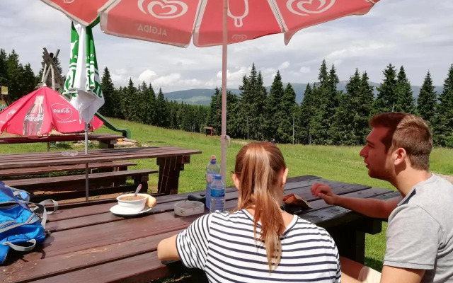 Vakantiehuis Cerny Dul 259
