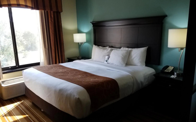 Comfort Suites Topeka Northwest