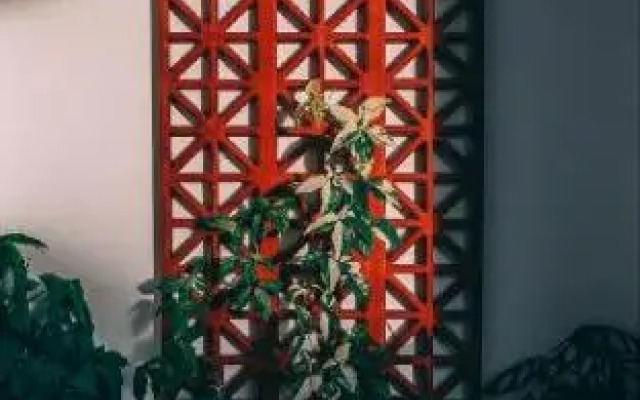 Nexdeco House Homestay Syariah Solo