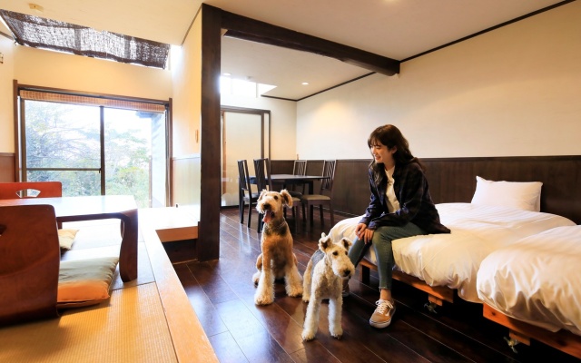 All Ocean View Rooms Hotel Sunny Steps