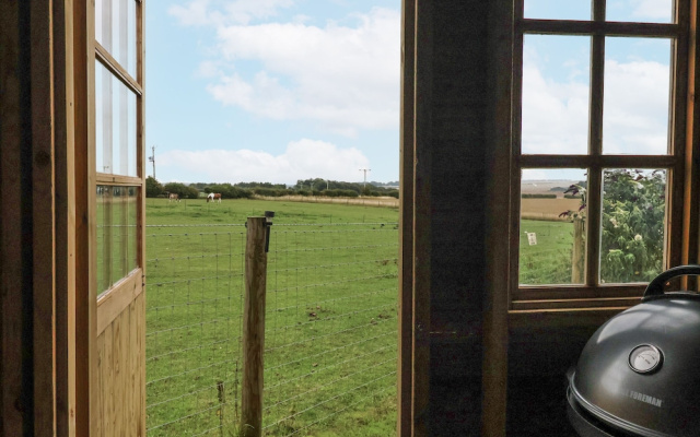 Wolds Hoot
