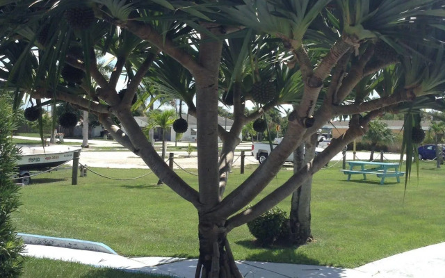Dockside Inn & Resort