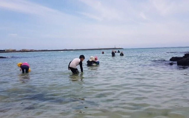 Batdol Guesthouse - Hostel