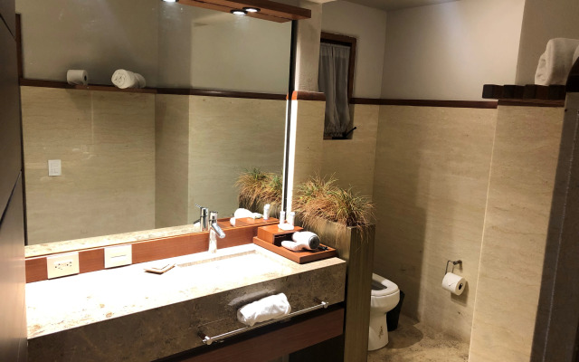 Gamma Rincón de Santiago