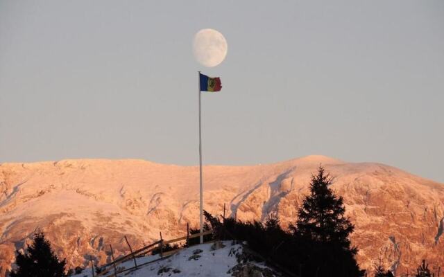 Pensiunea Padina Ursului