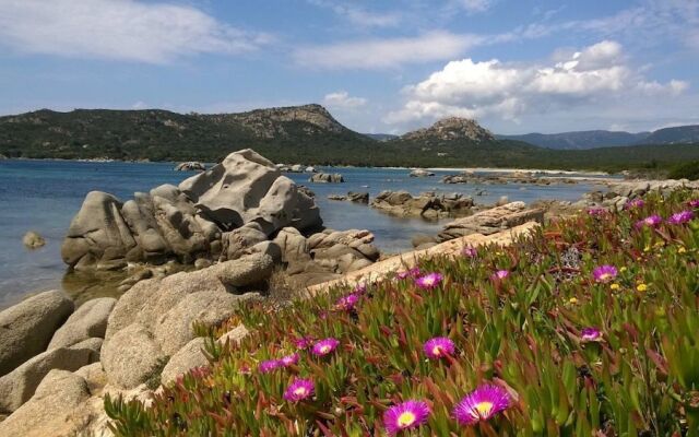 U RE D' ALZETU - Mini Villa 403