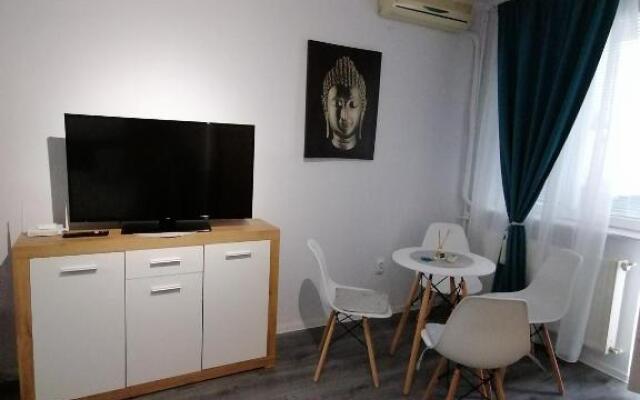 Bega Circumvalatiunii 1 Room Apartment