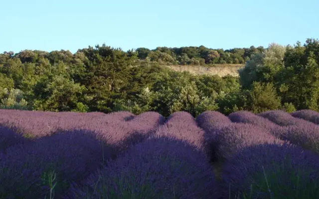 Gite Domaine de l'Esperouze