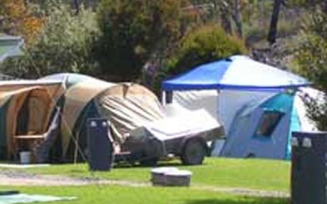 Scamander Tourist Park