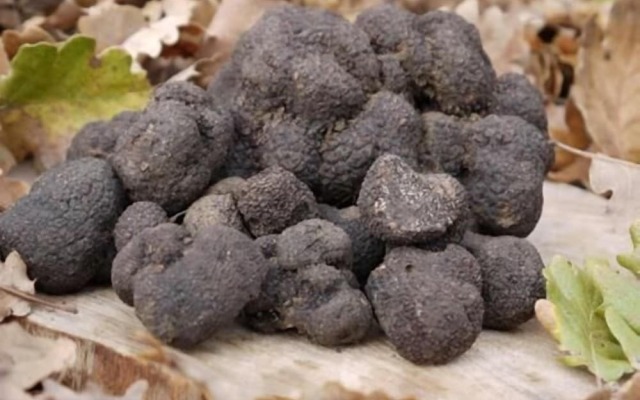 La Ferme les Eybrachas