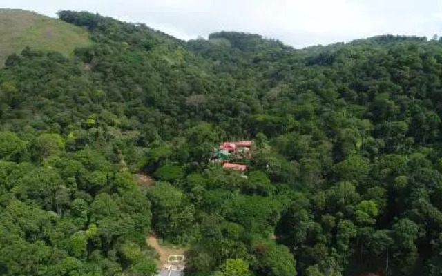 Hill Valley Farm House