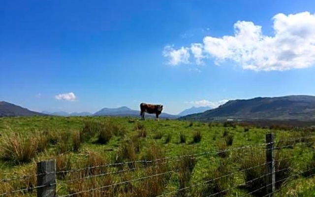 Boisdale House B&B, Portree