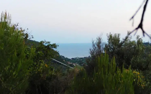 La Gatta Del Cilento