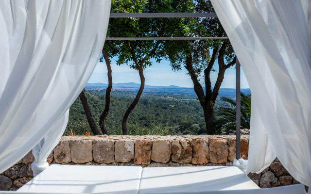 Finca Albellons