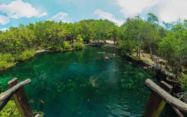 #5 Magnificent Cute Downtown Apartment - Daily/Monthly