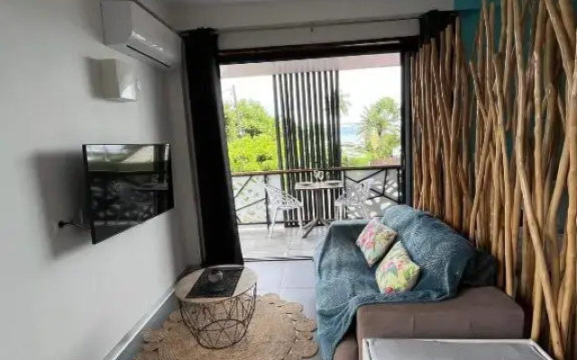 2 accomodations -Studio du Manoir -Le Manoir