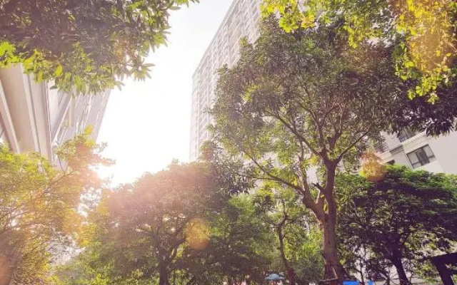 Vinhomes Times City Delicate Residence – Outside – Hanoi