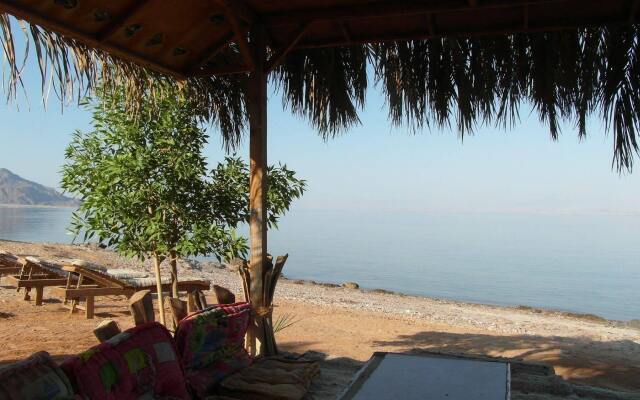 Bedouin Star (Ras shetan area)