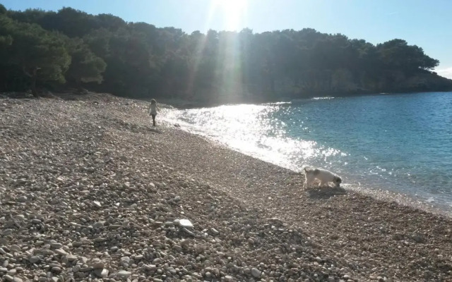 Kuća Roza
