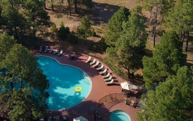 Little America Flagstaff