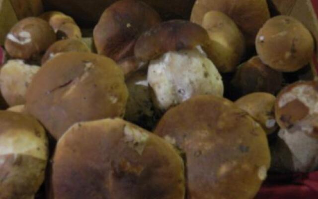 Osteria San Giuseppe