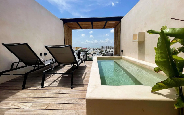 Hive Cancun