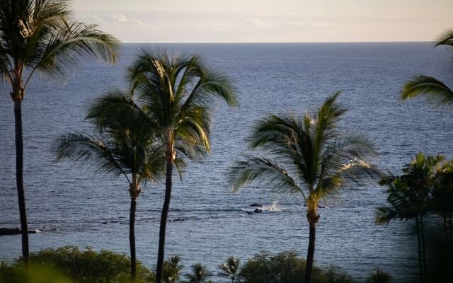 Mauna Kea #13 - 3 Br Villa