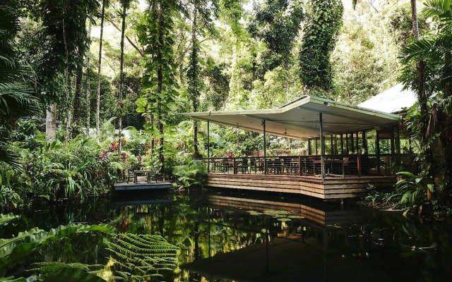 Daintree Ecolodge